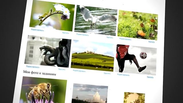 Что такое онлайн-фотошкола? Обучение фотографии.