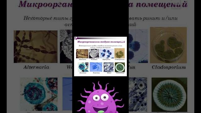 Откройте для себя удивительный мир микромира: 5 фактов, которые вы пропустили, включая пыль.