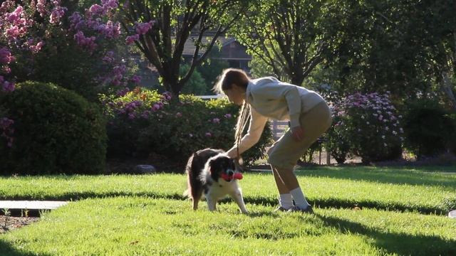 Java's entry to Mikamoo's contest смотреть онлайн