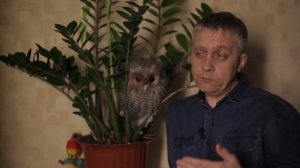 Дальневосточный гектар. Что делать дальше?