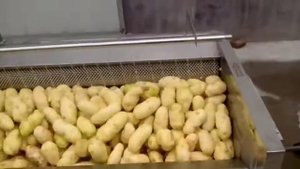 Пример работы устройства для мойки картофеля