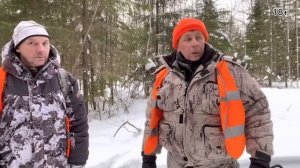 Загонная Охота на Волков.
