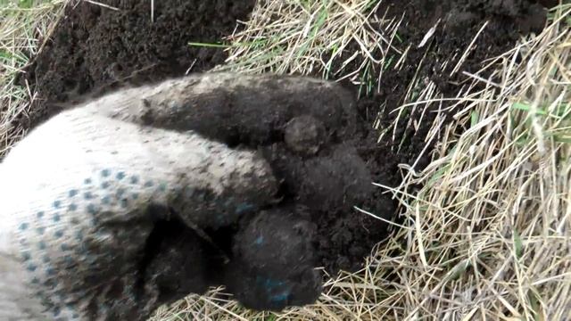 ШУРФИМ ФУНДАМЕНТЫ 17 ВЕКА. РЕДКАЯ НАХОДКА! смотреть онлайн