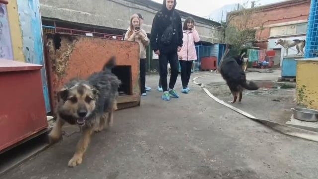 Всегда ждем в гости! | Экскурсия по приюту для студентов ОмИПК