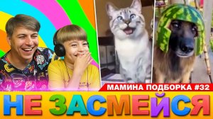 2 КОТЭ И ПЁСИК! НЕ ЗАСМЕЙСЯ ЧЕЛЛЕНДЖ // Смотрим смешные видео или МАМИНА  ПОДБОРКА #32