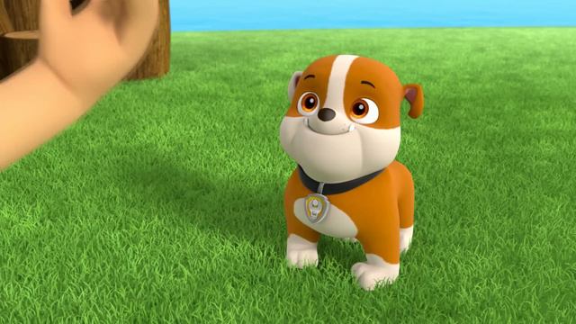 Rubble's Weirdest Dreams! 😴 w/ PAW Patrol Marshall & Chase | 30 Minute Compilation | Rubble & Crew