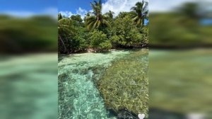 Ханде Эрчел признала отношения с Керемом Бюрсином!