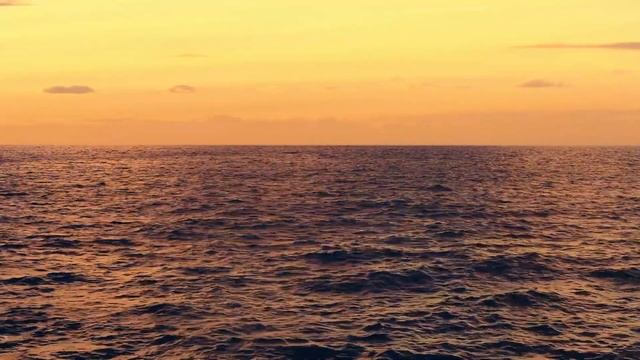 Along the Seashore, instrumental music for deep relaxation with ocean waves sounds