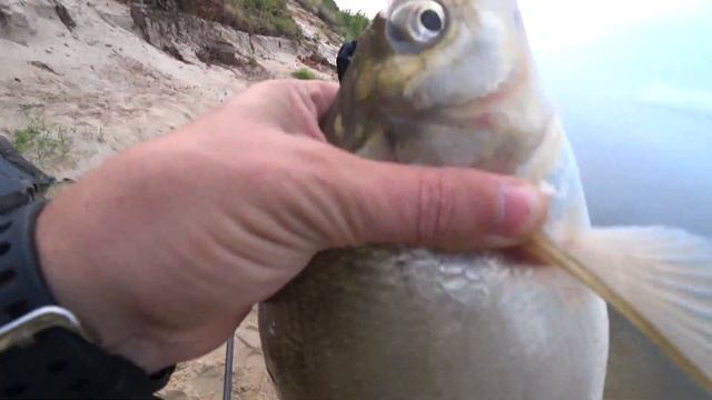 РЫБАЛКА на ЛЕЩА НА ОКЕ на ДОННУЮ снасть КАКОЙ МОНТАЖ использовать ДЛЯ ЛОВЛИ ЛЕЩА РЫБАЛКА НА ОКЕ смотреть онлайн