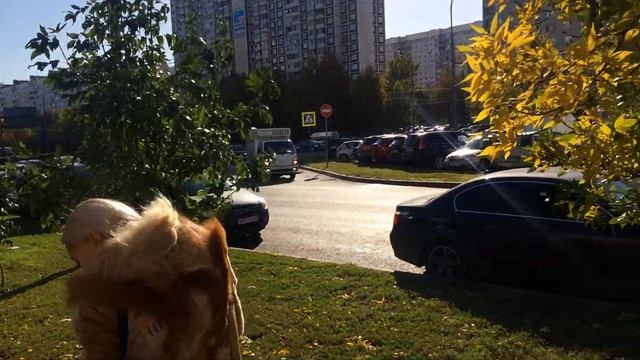 Москва Алтуфьевское ш д 84 видео 2 17 00 смотреть онлайн