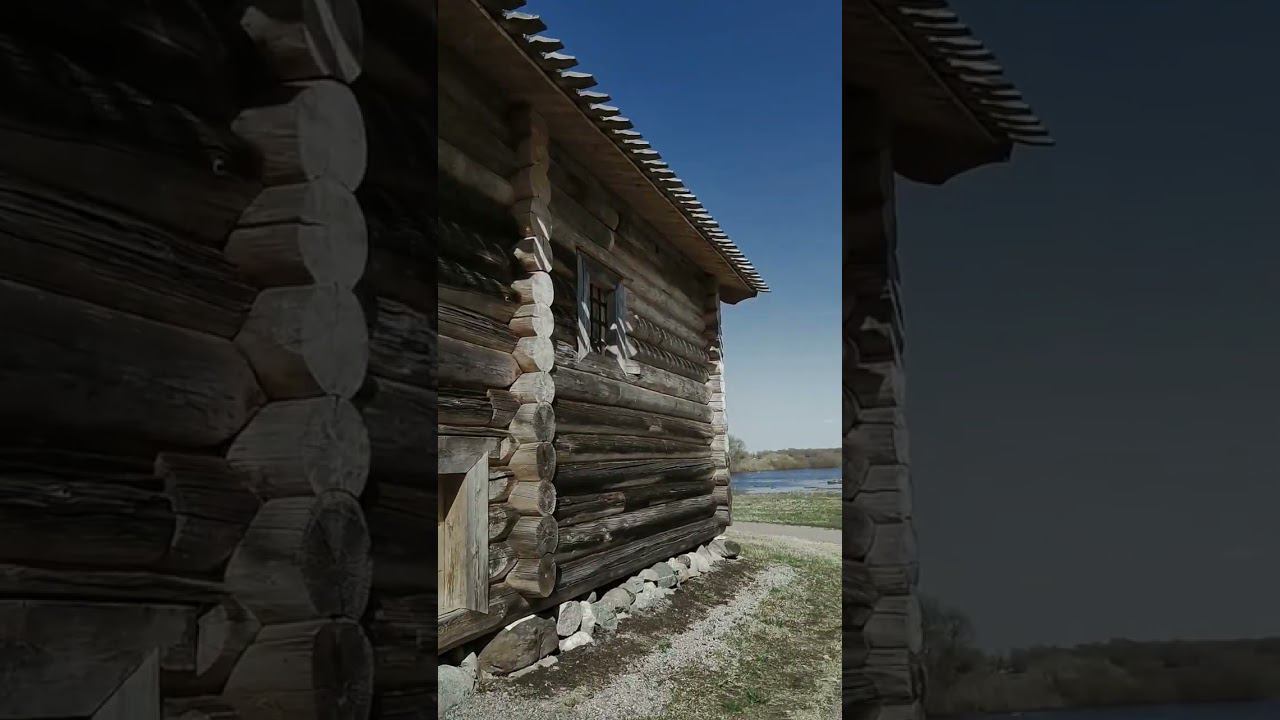 Подтопление Витославлиц #shorts смотреть онлайн