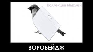 Птицы + ШИЗА =