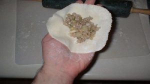 Японские пельмени Gyoza