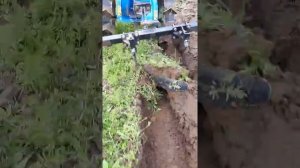 МК-200 НЕВА и плуг