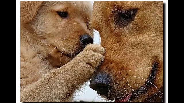 Ласковое солнце мое.mp4 смотреть онлайн