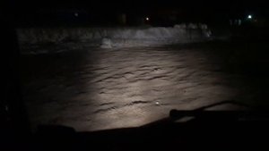 КАЛЯН86, Рейсики с Мишей в паре )