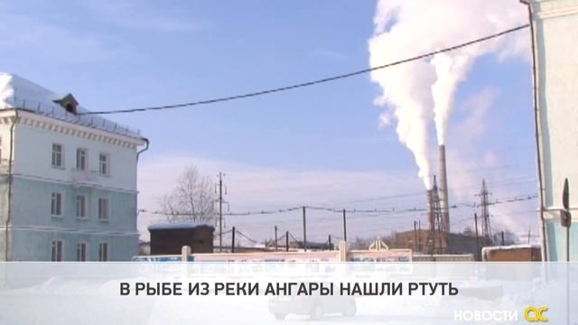 В рыбе из реки Ангары нашли ртуть смотреть онлайн