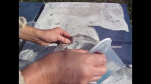 Пихтовое масло.  Заключительная диагностика