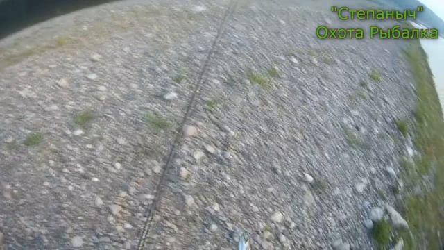 Утренняя рыбалка 10 08 20 смотреть онлайн