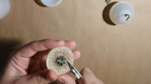 DIY /Одуванчики в эпоксидной смоле. Заливка сферы, брошь. #одуванчикивсмоле #эпоксиднаясмола