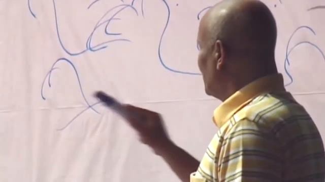Птицы Шри Чинмоя