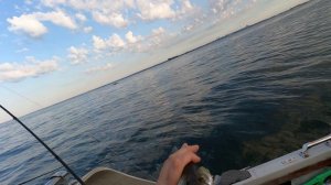 Рыбалка в Новосибирске на Обском море.