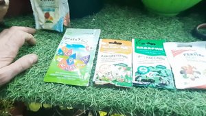 ЧЕМ ПОДКОРМИТЬ ПЕЛАРГОНИЮ ЗИМОЙ для пышного цветения ЕЙ ПОНРАВИТСЯ для пеларгонии и герани