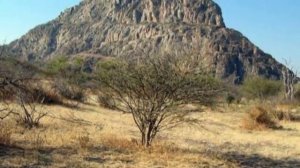 Пустыня Калахари.