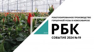 Роботизированное производство горшечной розы в Новосибирске | Событие №19_от 22.03.2023 РБК