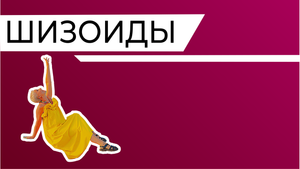 Шизоиды. Шизоидный тип личности