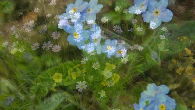 весенняя сказка смотреть онлайн