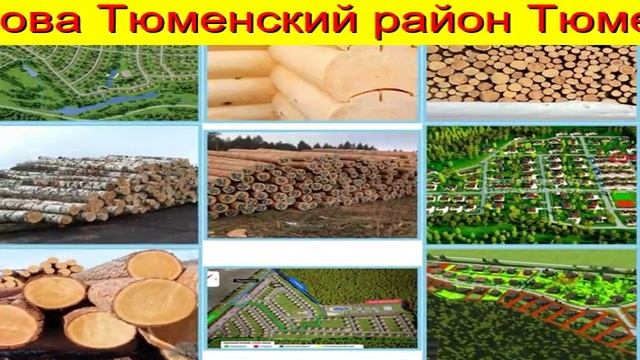 Пиловочник Тюмень Недорого