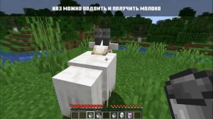 Всё про КОЗА | Майнкрафт Факты 1.17