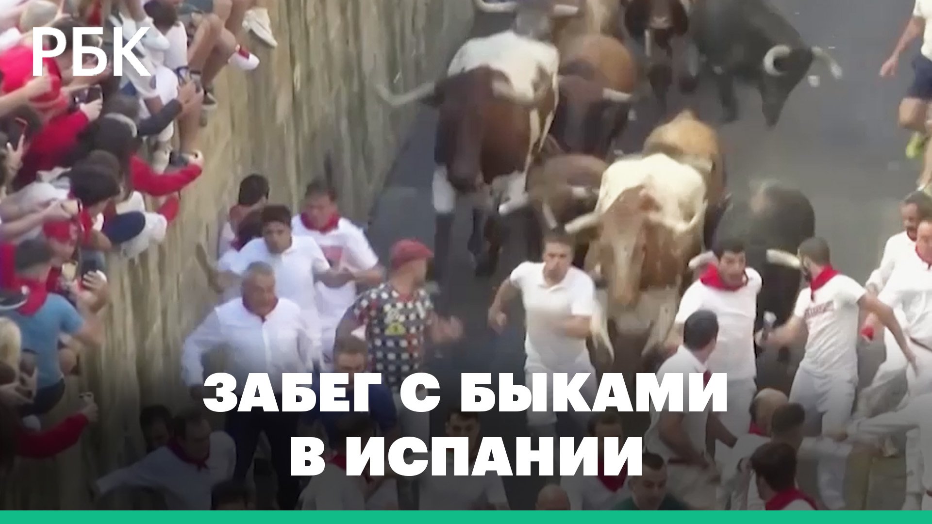 Видео смертельно опасного забега с быками в Испании. Есть пострадавшие