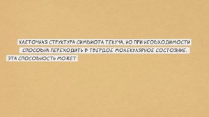АНАТОМИЯ ВЕНОМА: Все подробности о Симбиотах