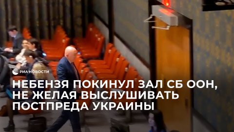 Небензя покинул зал СБ ООН, не желая выслушивать постпреда Украины