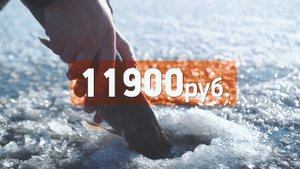 Акция! Эхолот Deeper Pro 11 900 руб.