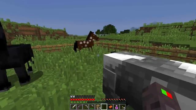 Minecraft Grasers World Episode 3: Stronghold Checklist