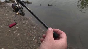 Комплект за 130000₽? Знакомство с Gamakatsu Hana S80MH-solid и Daiwa Exist LT 2500?