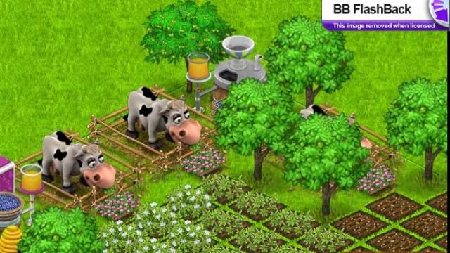 Country Life BEta