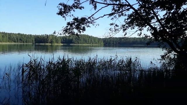 Отдых на озере. Озеро ледникового происхождения.   Чистейшее озеро Чистик