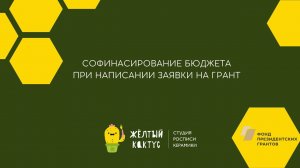 Софинансирование бюджета. Вебинар. Спикер Людмила Тимакова