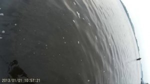 Рыбалка на томи. Р-н Новокузнецка