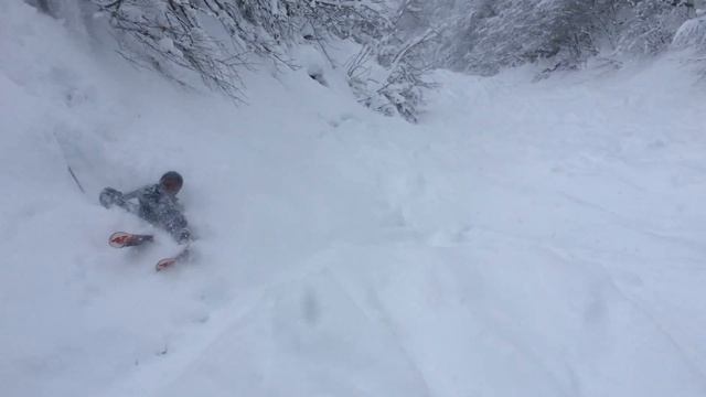 Дикий лесной фрирайд смотреть онлайн