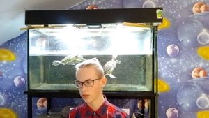 Можно ли давать яйца красноухой черепахе? Ответ прост! / ЧЕРИ TV