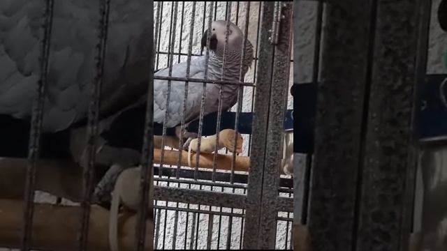 У кого ещё есть такие " хвалюшки"?! смотреть онлайн