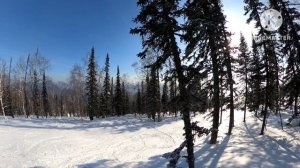 Шерегеш. Январь 2024. Свежего снега нет, но вы держитесь!