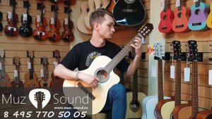 Классическая гитара со звукоснимателем Parkwood PC110