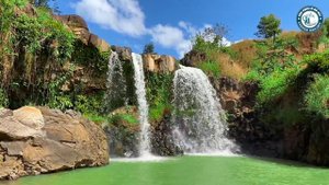 Nhạc Không Lời Âm Thanh Nổi Sạch Và Sang, Nhạc Phòng Trà Guitar Saxophone Thư Giãn Giảm Stress