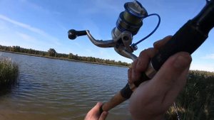 РЫБАЛКА НА ДОНКИ НА РЕКЕ ЛУГА. ДИКО ЗАМЕРЗ. ЛЕЩ ИСПРАВНО КЛЮЕТ.